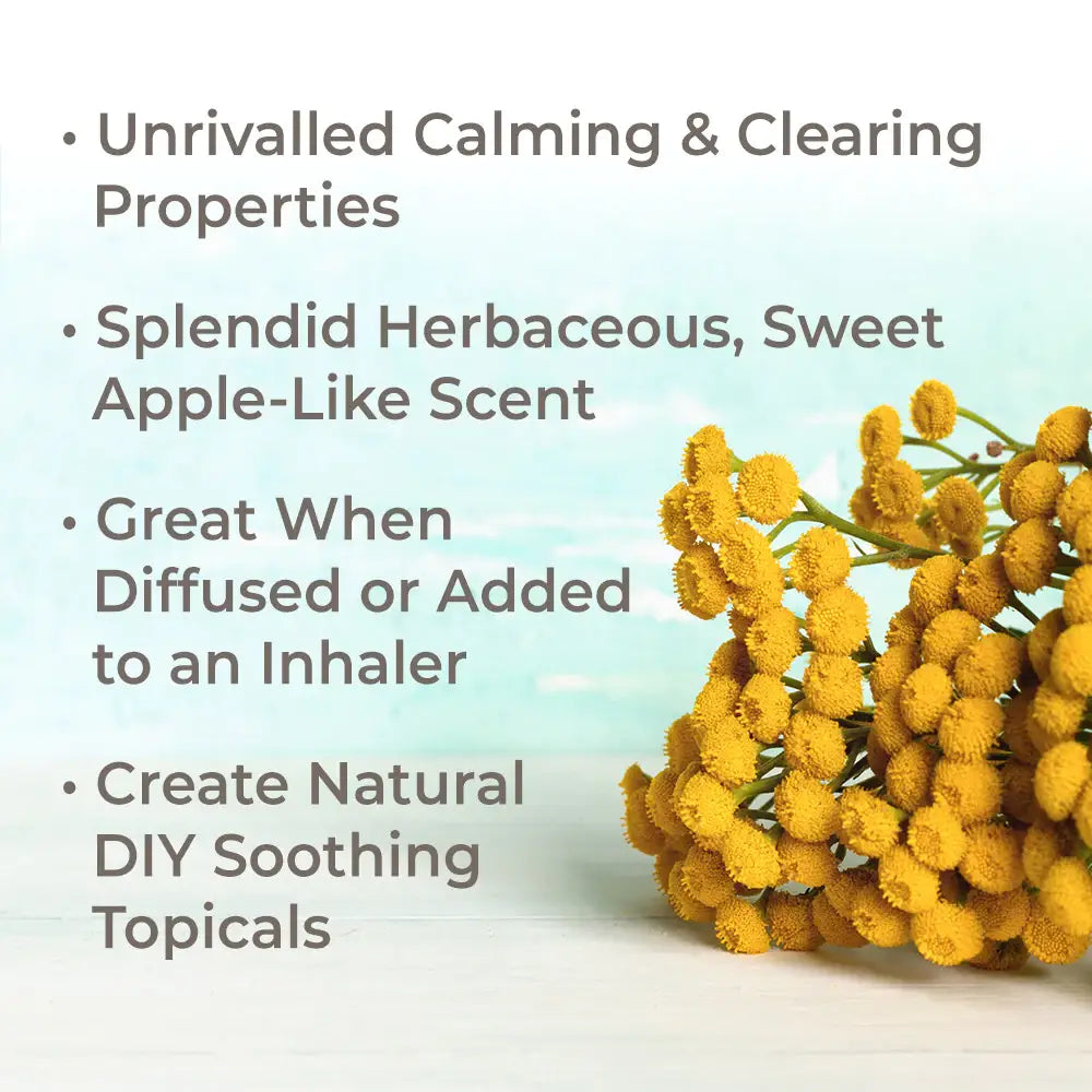 Plant Therapy: Organic Blue Tansy Essential Oil 5 mL