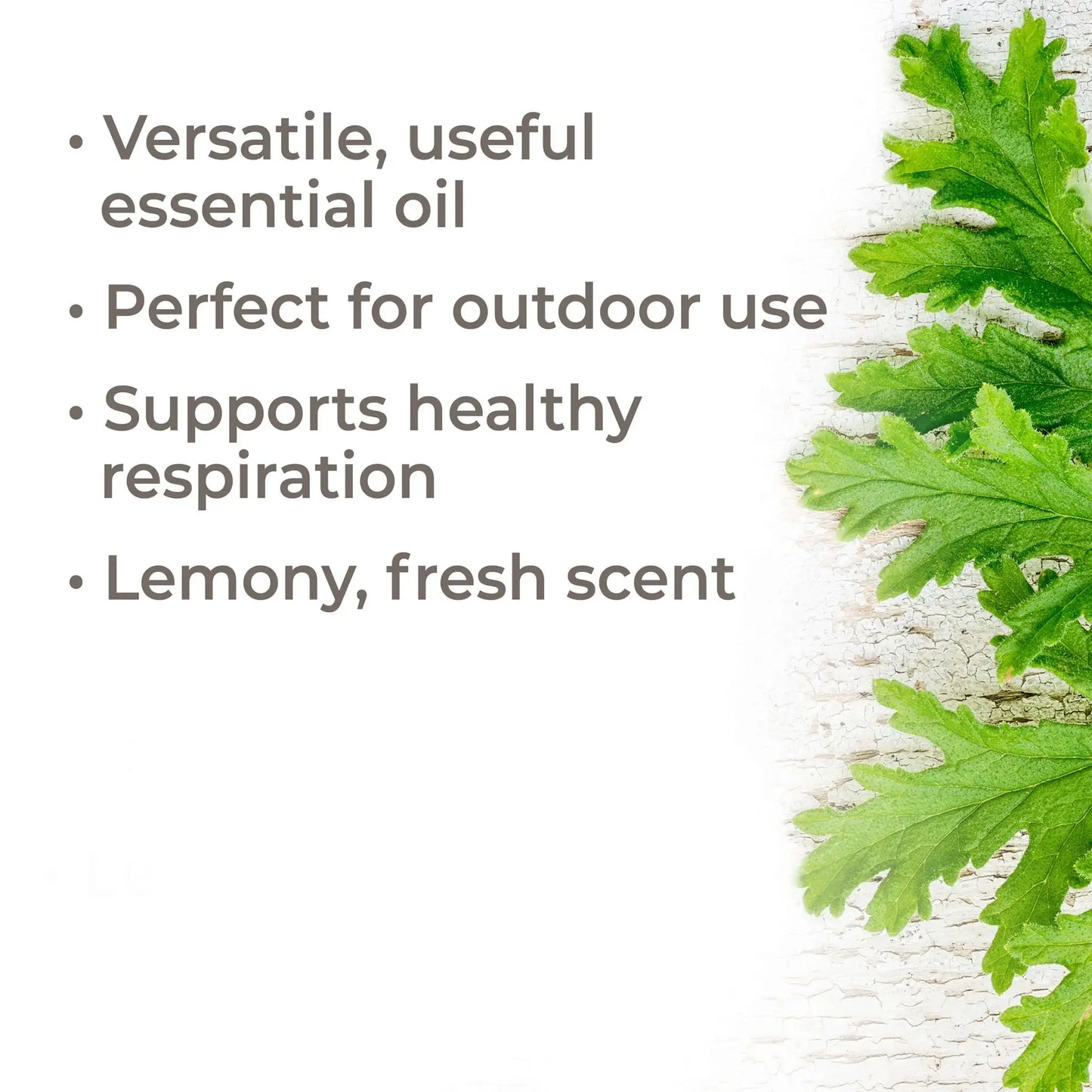 Plant Therapy: Organic Citronella Essential Oil 10 mL