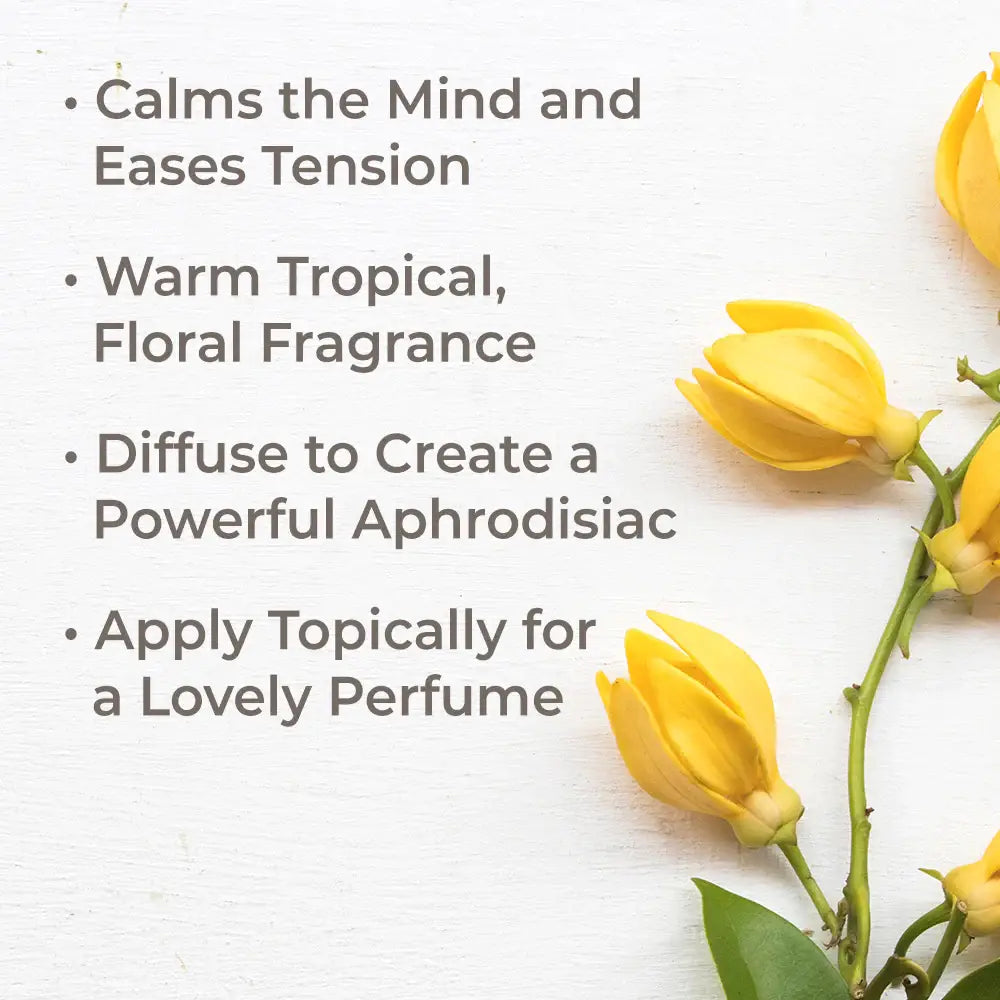 Plant Therapy: Organic Ylang Ylang Complete Essential Oil 10 mL