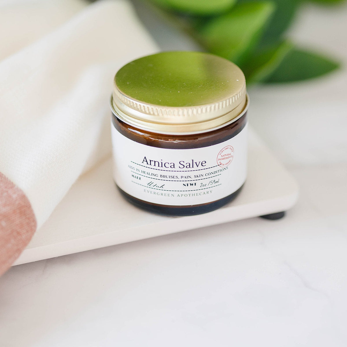 Arnica Salve – Online Only
