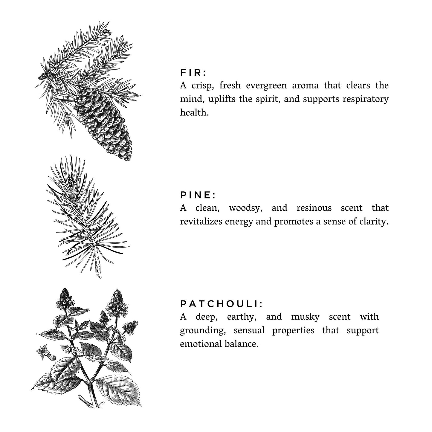 Forest Bathing - Natural Bar Soap - Spring Gift