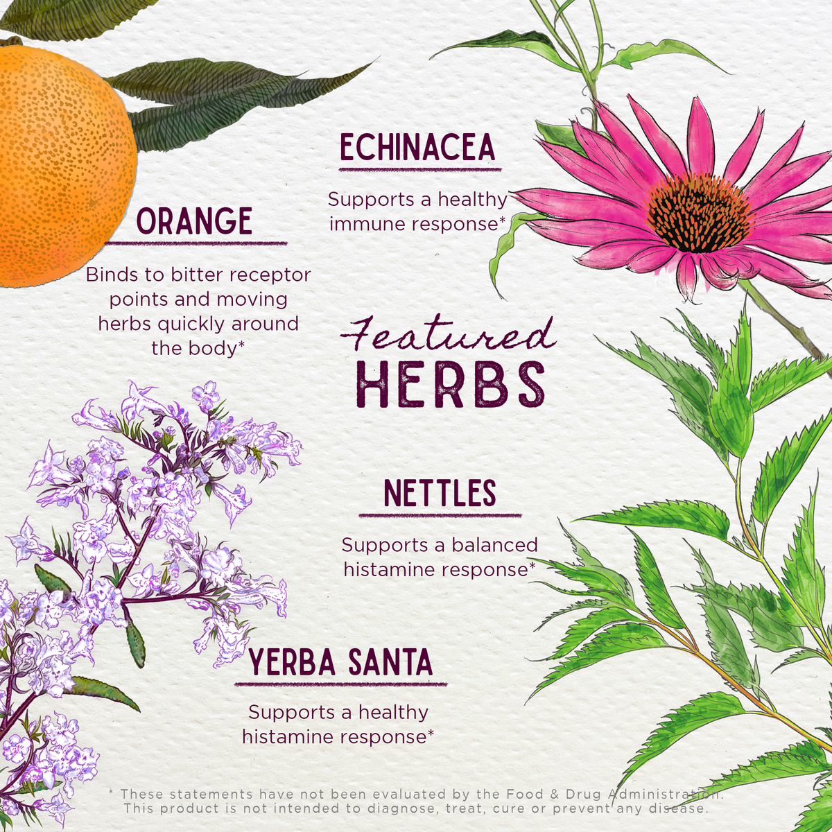 Kick-Ass Allergy, Seasonal Rescue – Online Only