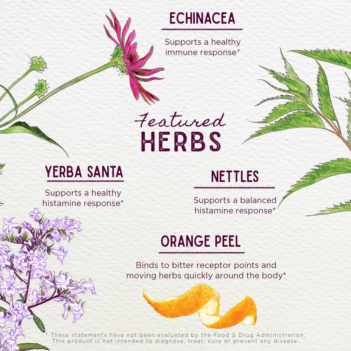 Kick-Ass Allergy & Sinus, Soother – Online Only