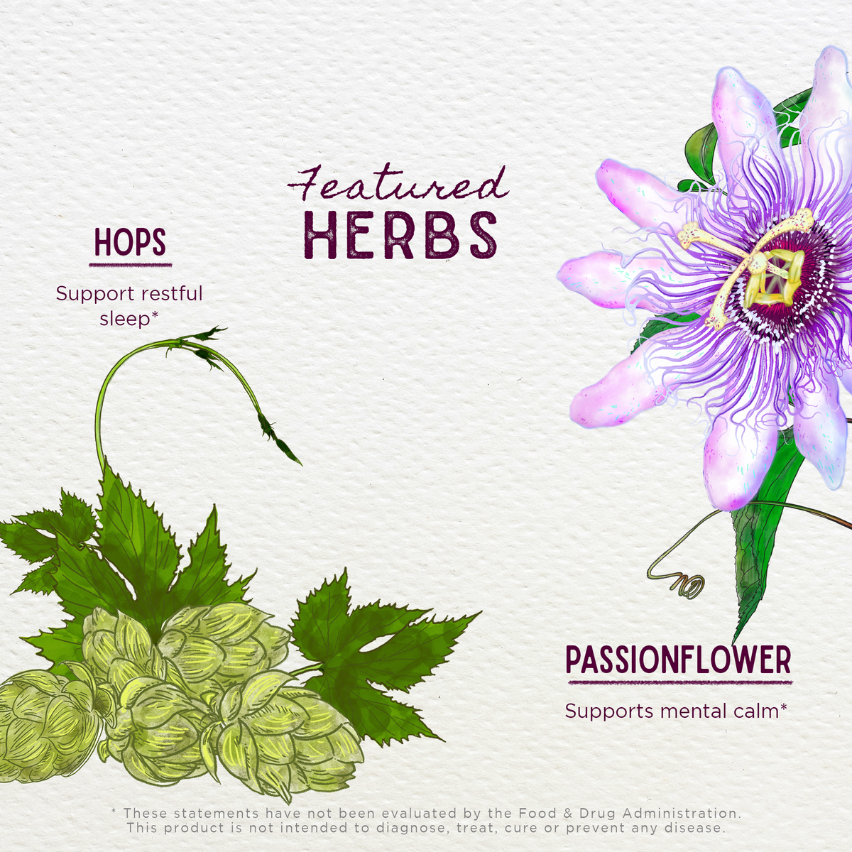 Serious PM Cough, Soothing Syrup – Online Only
