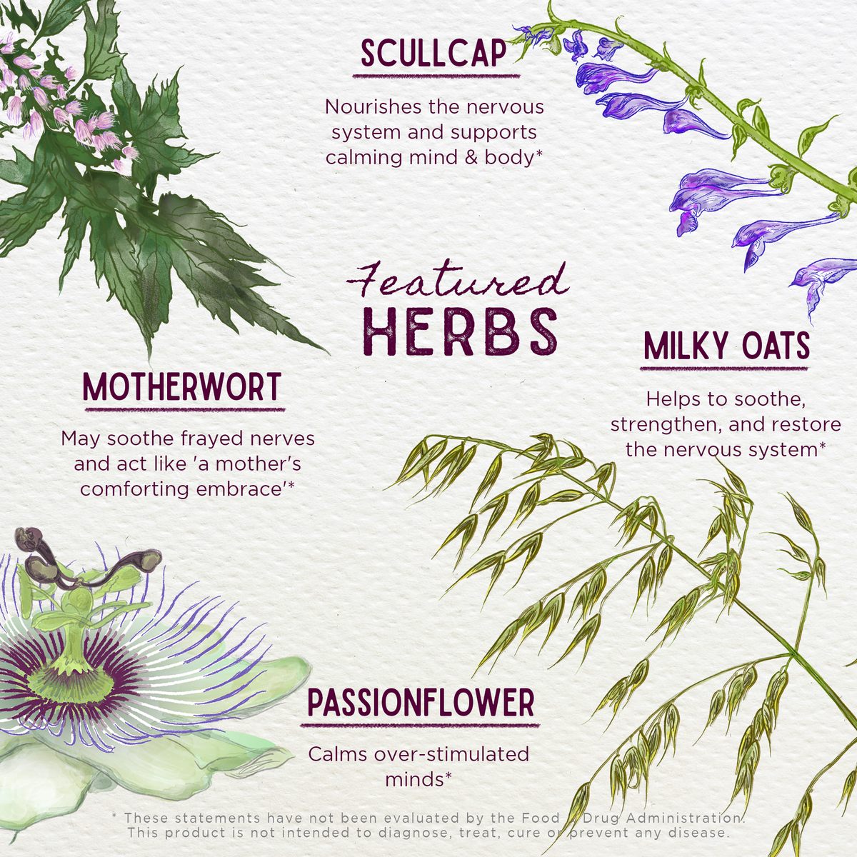 Emotional Ally, A Big Herbal Hug – Online Only