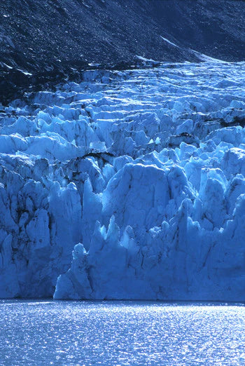 Alaskan Essences: Portage Glacier