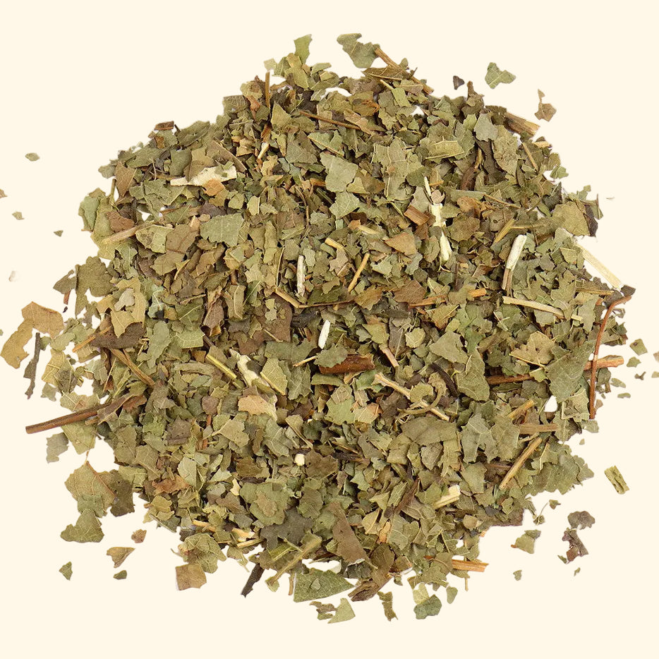 Bulk: Sassafras - 0.5 oz