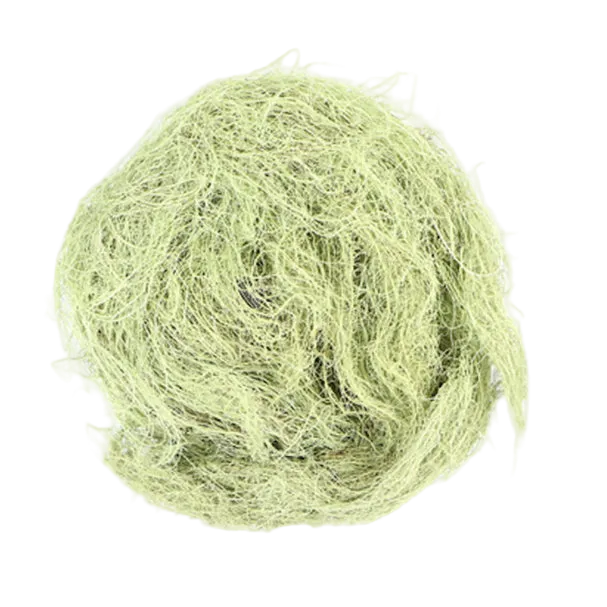 Bulk: Usnea - 0.5 oz