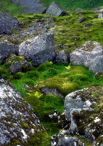 Alaskan Essences: Stone Circle