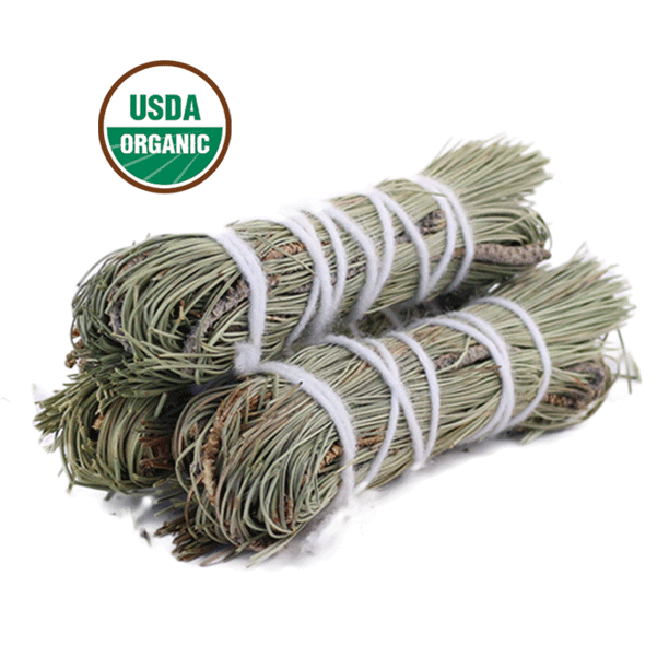 Pine Smudge Stick - (4 in.)