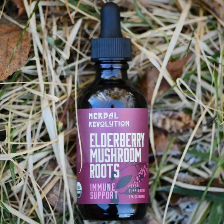 Herbal Revolution: Elderberry + Mushroom - Daily Immune Support Elixir (2 oz)