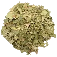 Bulk: Ginkgo - 0.5 oz