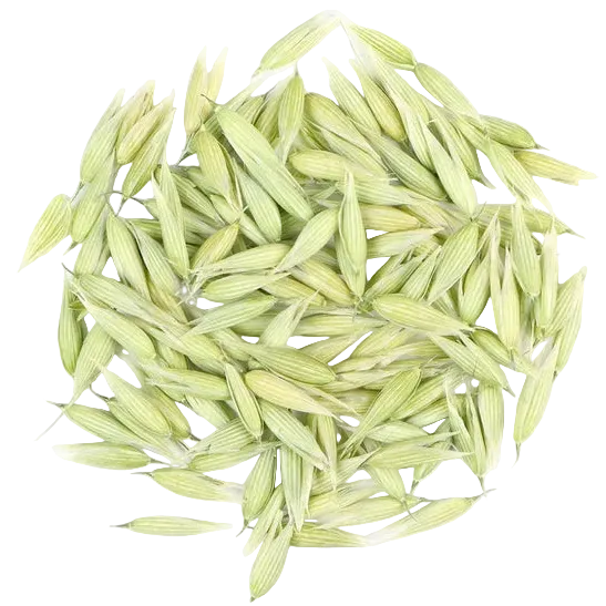 Bulk: Milky Oat Tops - 0.5 oz