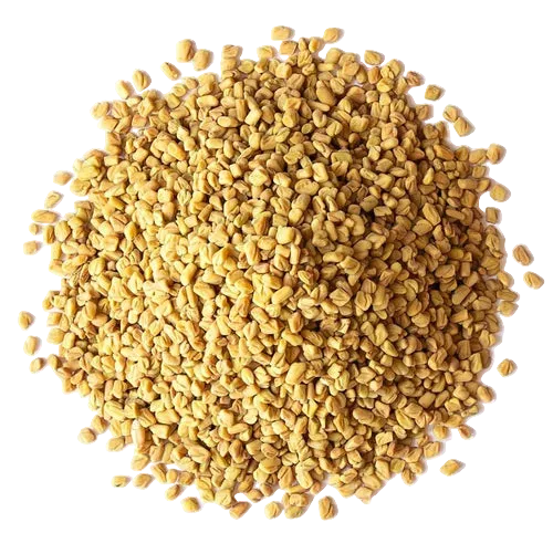 Bulk: Fenugreek Seed - 1 oz