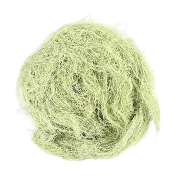 Bulk: Usnea - 1 oz