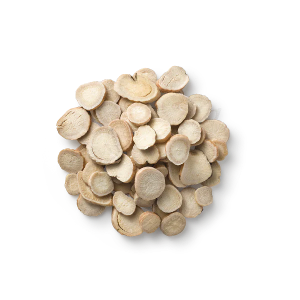 Bulk: White Peony Root - 1 oz