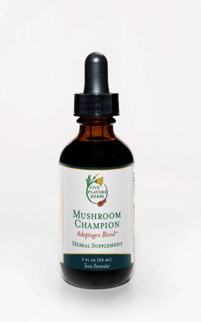 Medicinal mushroom tincture from The Herbal Ritual apothecary