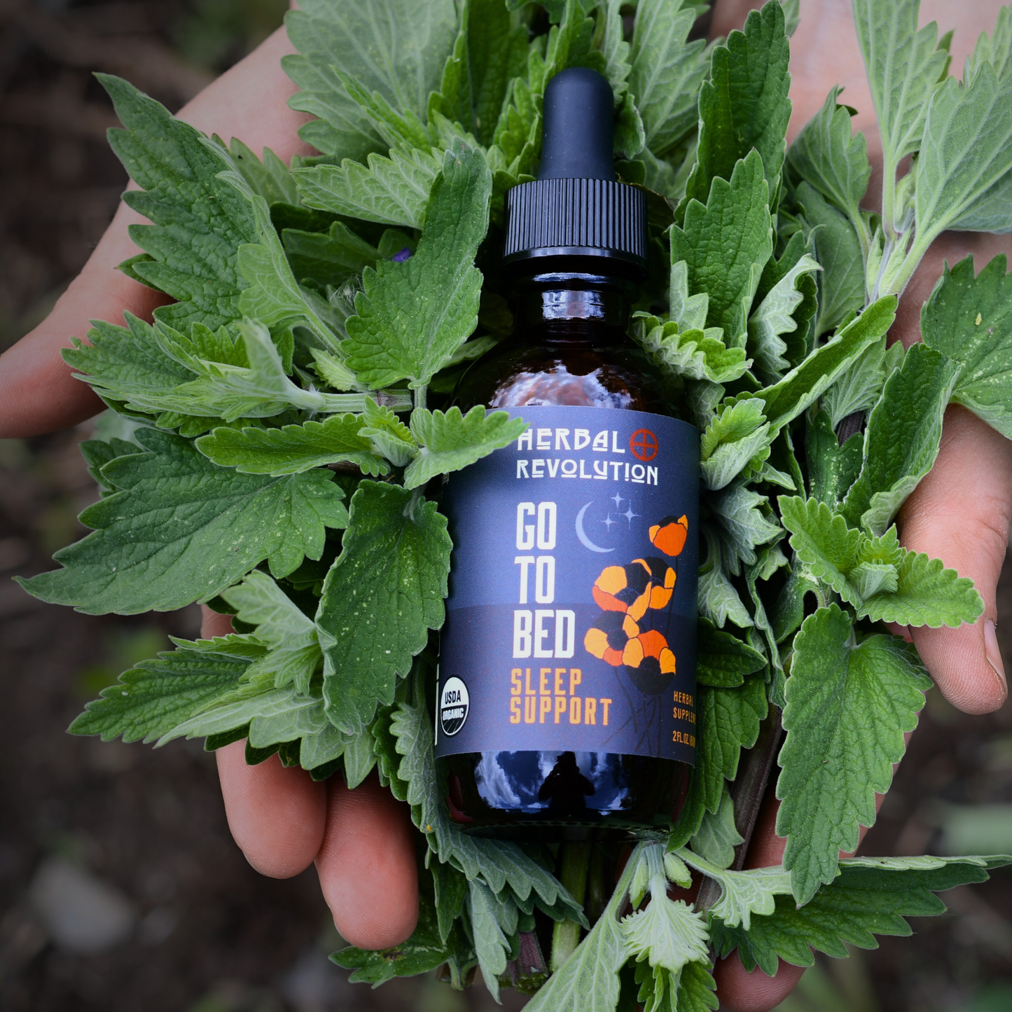 Herbal Revolution: Go To Bed Deep Sleep Elixir