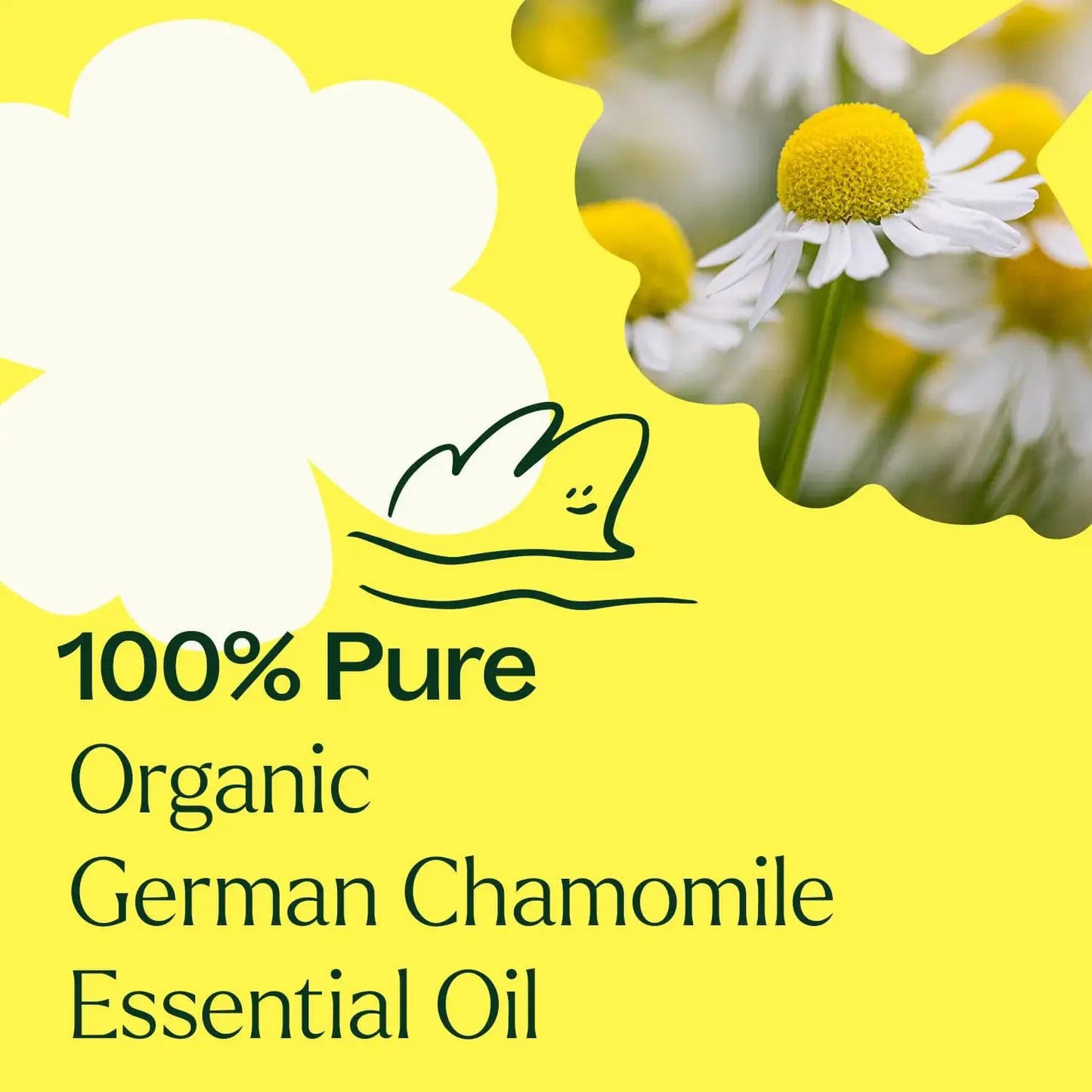 Plant Therapy: Organic German Chamomile Essential Oil 2.5 mL