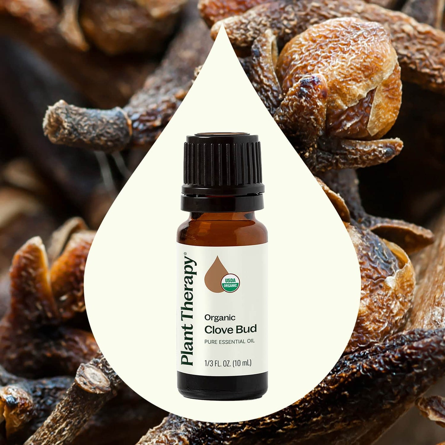 Plant Therapy: Organic Clove Bud Essential Oil 10 mL