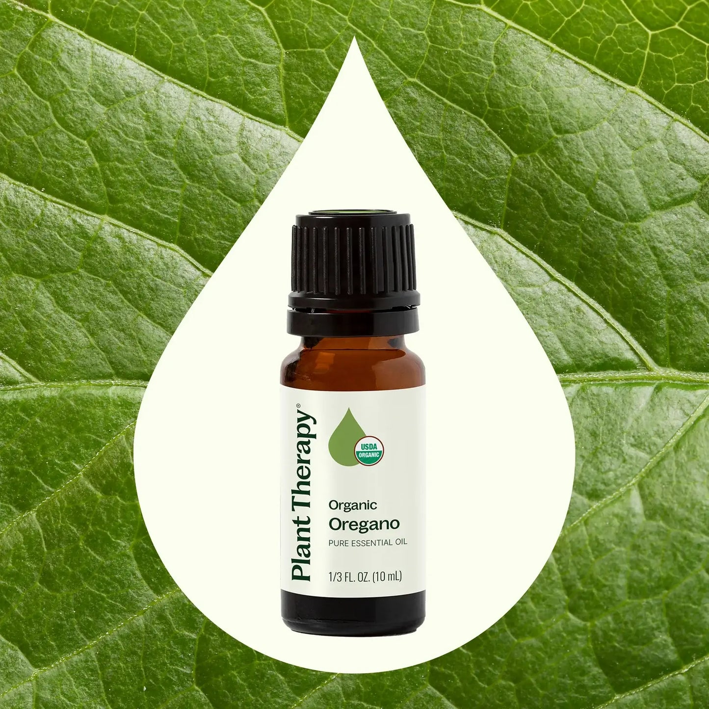 Plant Therapy: Organic Oregano Essential Oil 10mL