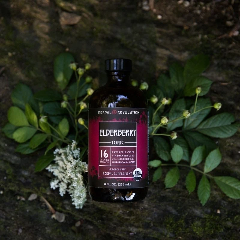 Herbal Revolution: Elderberry Tonic (8 fl oz)