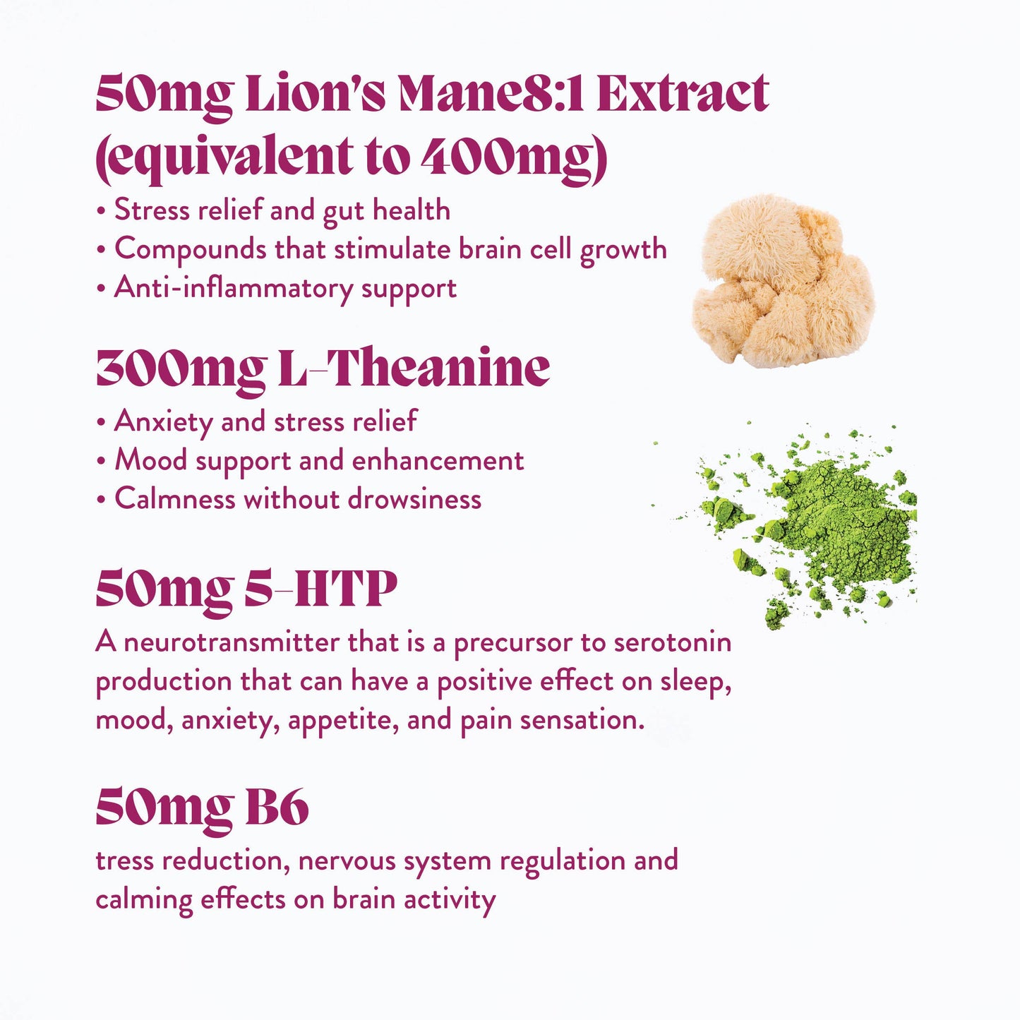 Elevate Mushroom Gummies (5) / Vegan Supplement / Mood