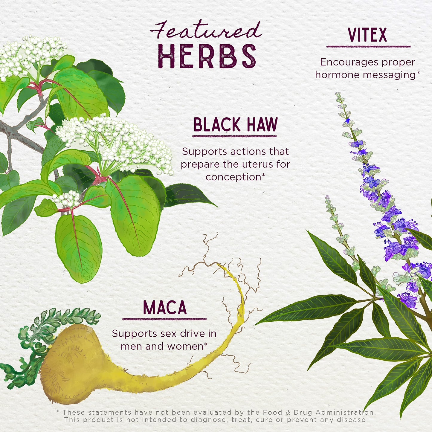 Wishgarden Herbs: Fertility Prep (2 fl oz)