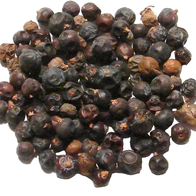 Bulk: Juniper Berry - 0.5 oz