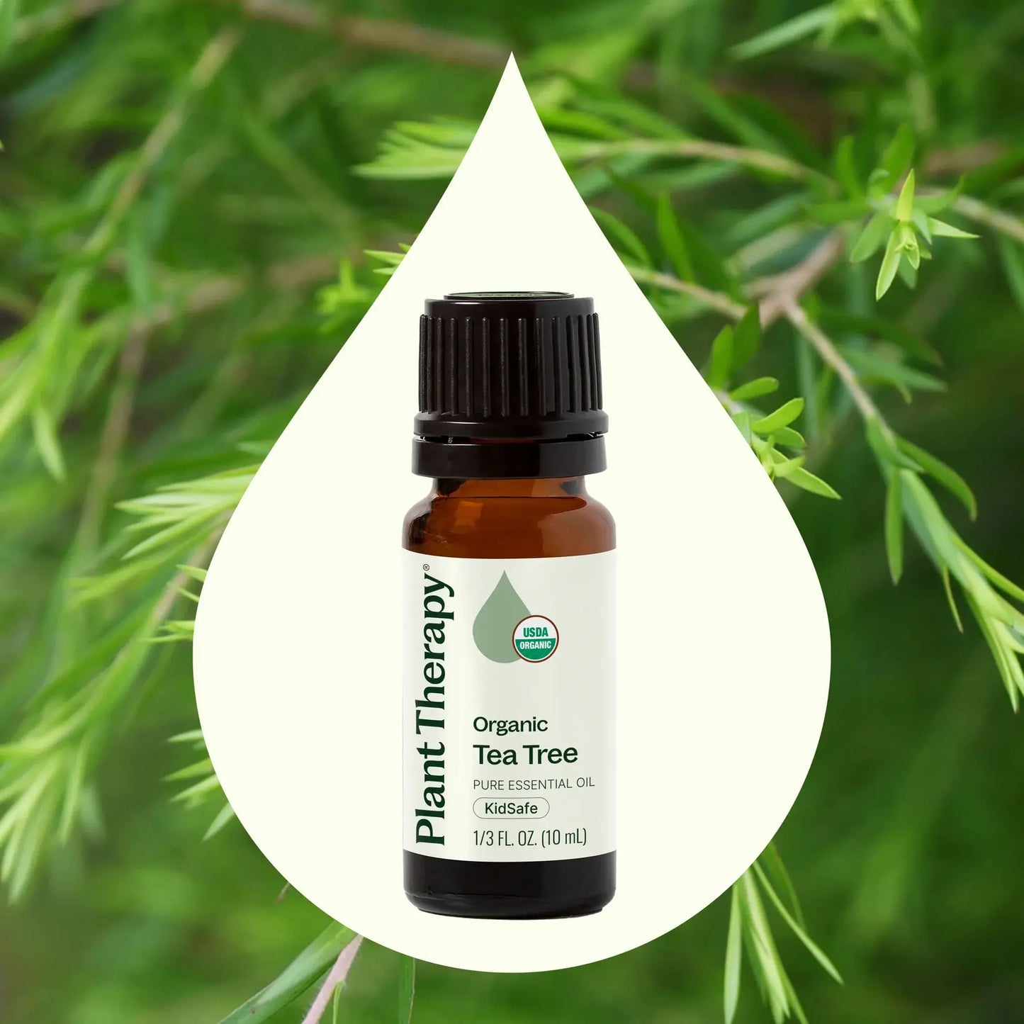 Plant Therapy: Organic Tea Tree Essential Oil 10 mL