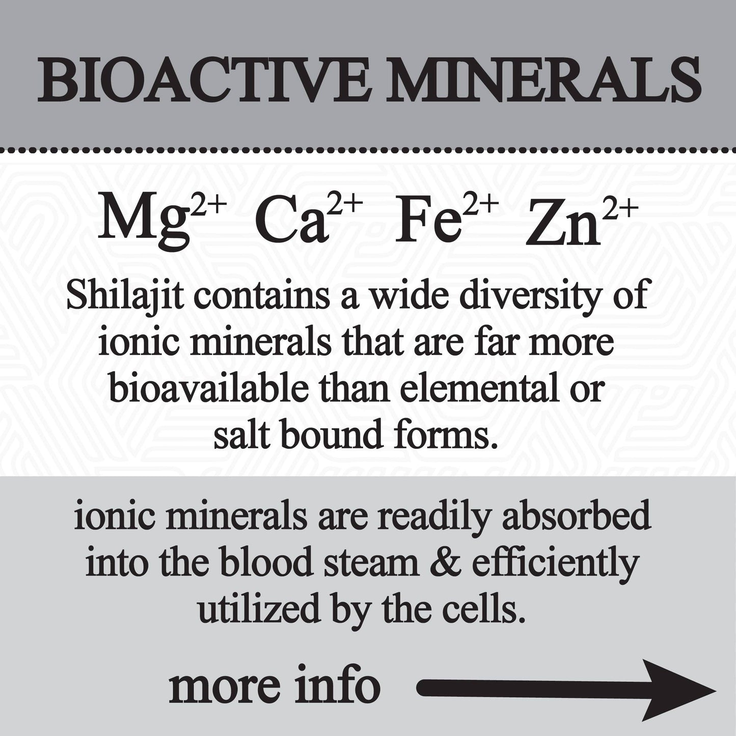 Roots Apothecary: Shilajit Glycerite (60 ml)