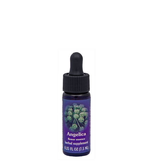 FES Flower Essences: Angelica