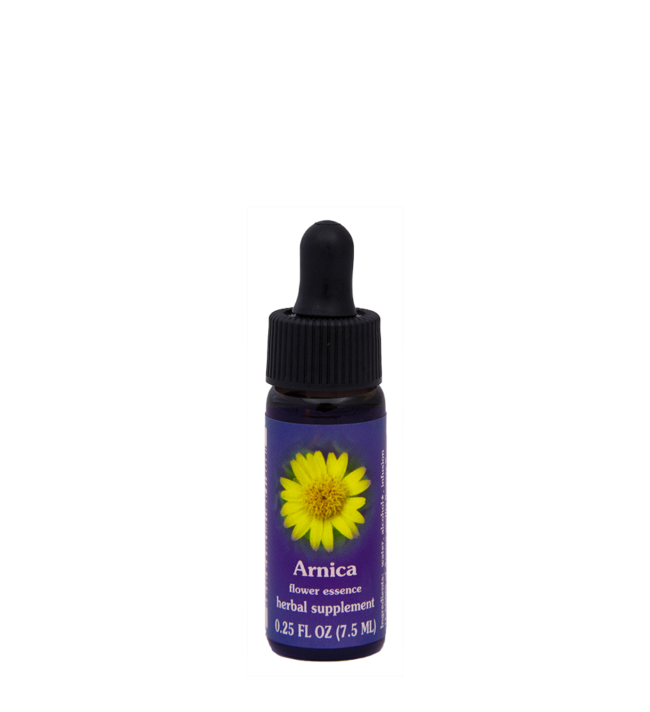 FES Flower Essences: Arnica