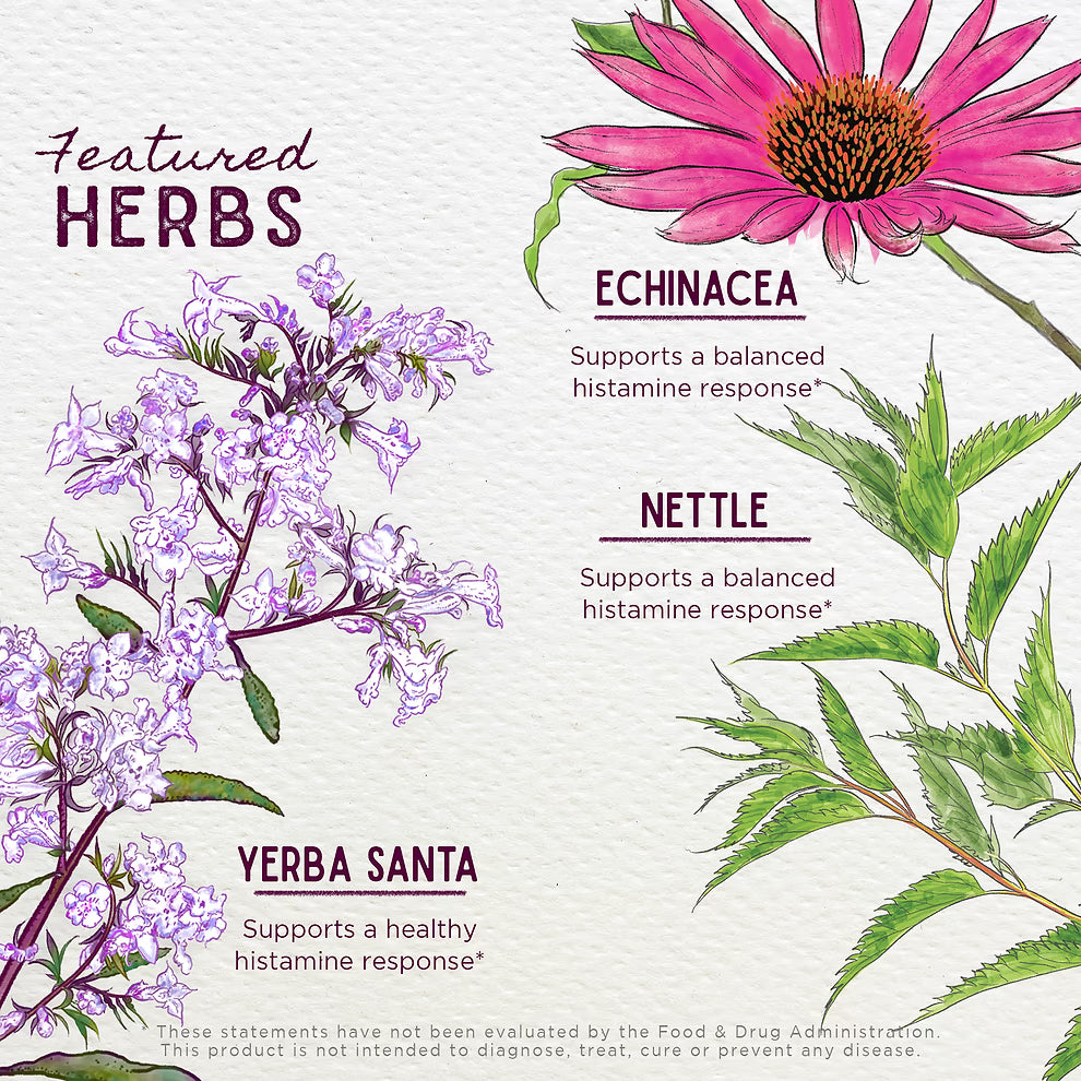 Wish Garden: Kick-Ass Allergy (Pregnancy)