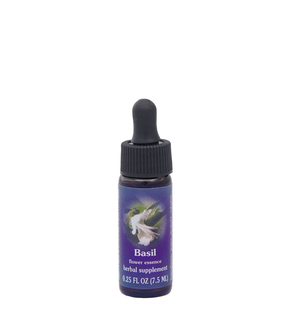 FES Flower Essences: Basil