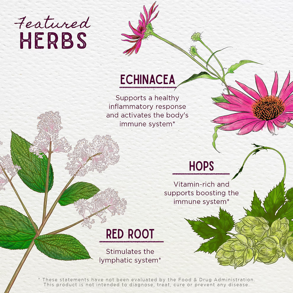 WishGarden Herbs: Kick-Ass Biotic (1 oz)
