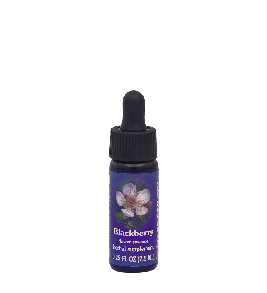 FES Flower Essences: Blackberry