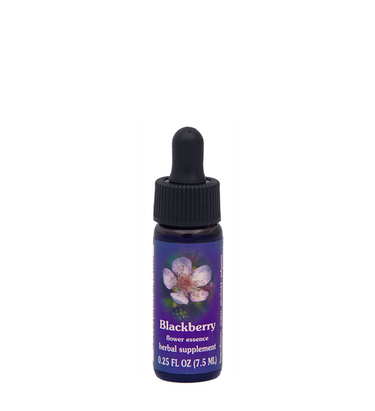 FES Flower Essences: Blackberry