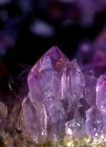 Alaskan Essences: Brazilian Amethyst