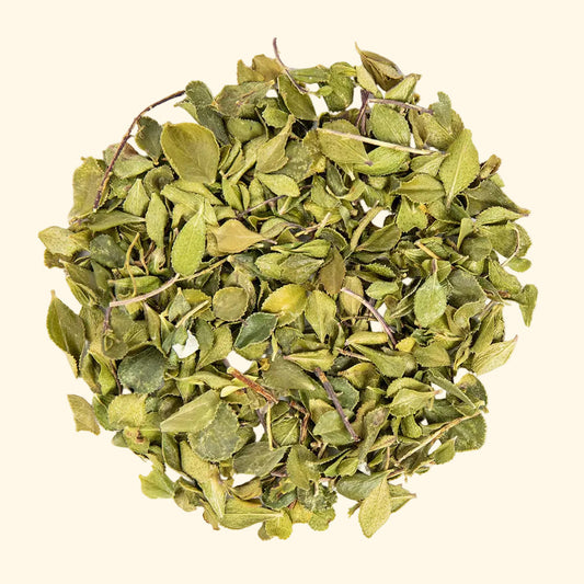 Bulk: Buchu Leaf - 0.5 oz