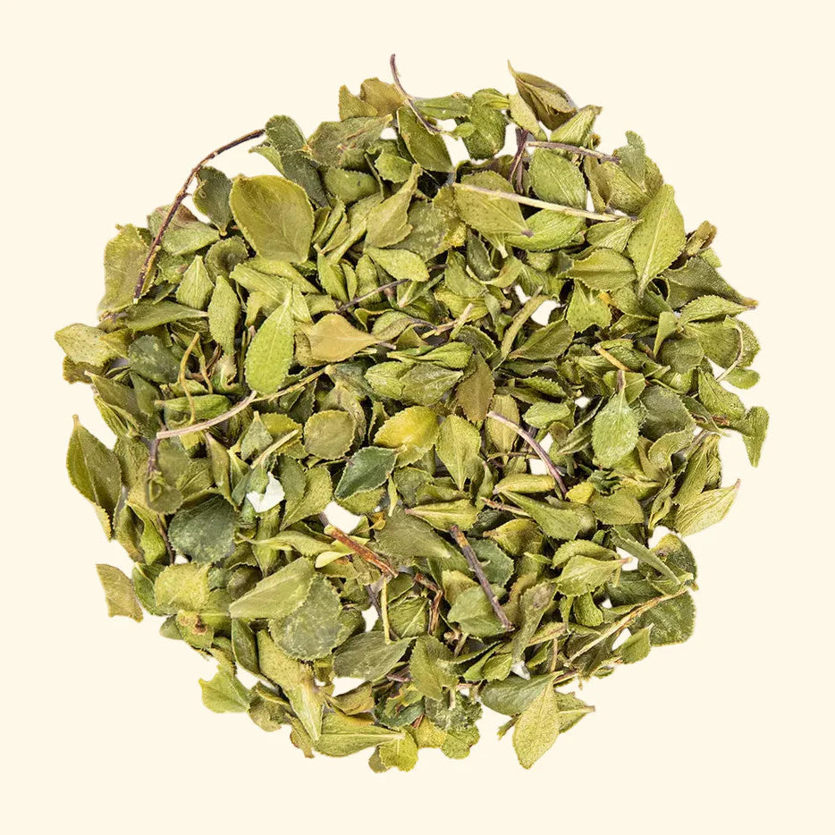 Bulk: Buchu Leaf - 1 oz