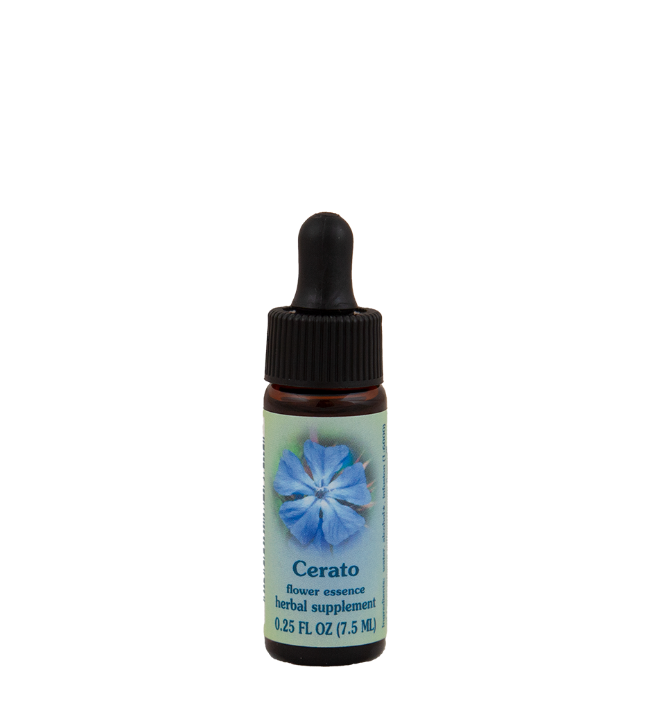 FES Flower Essences: Cerato