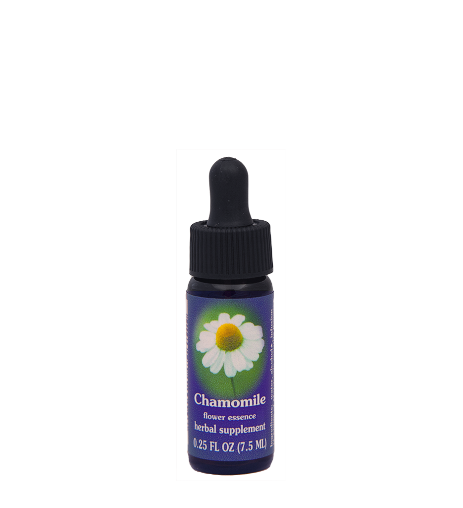 FES Flower Essences: Chamomile