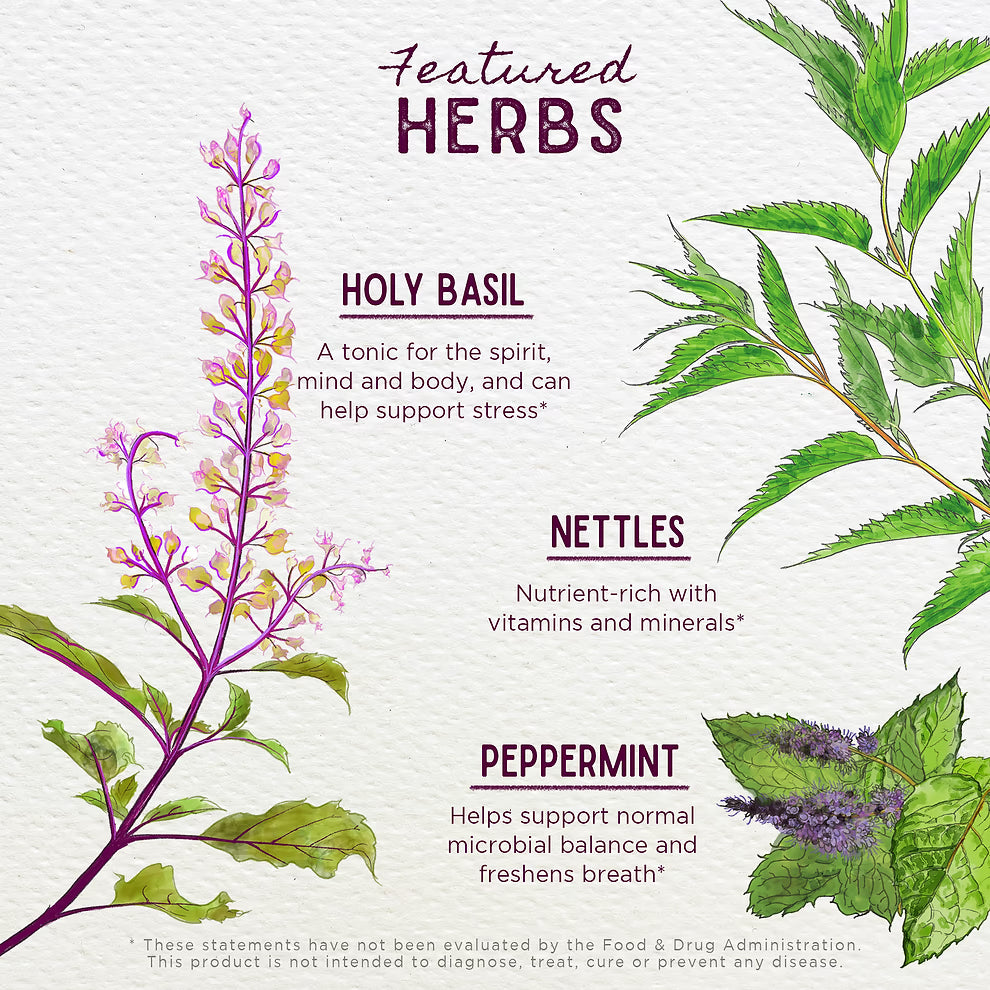WishGarden Herbs: Chlorophyll & Friends (2oz)
