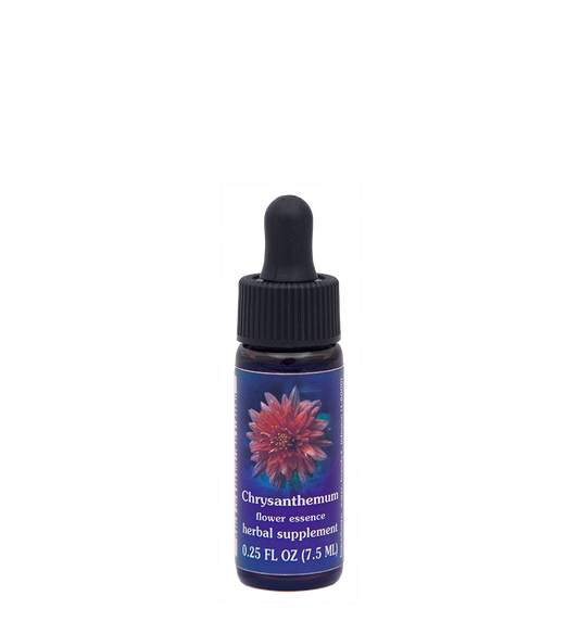 FES Flower Essences: Chrysanthemum