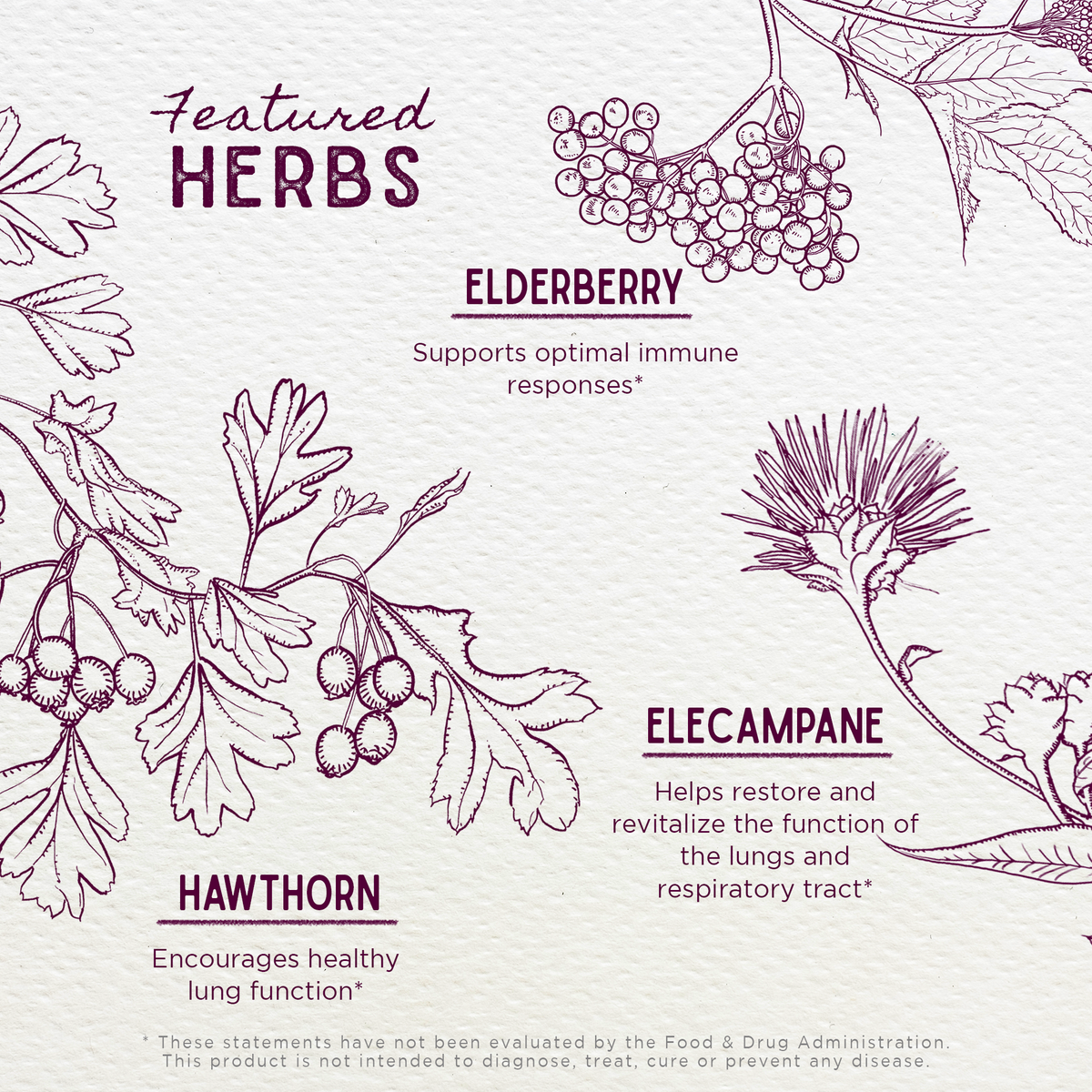 Serious AM Cough, Soothing Syrup – Online Only