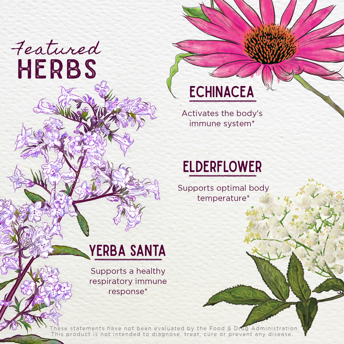 Congestion Rescue, Immune Support for Pregnancy – Online Only