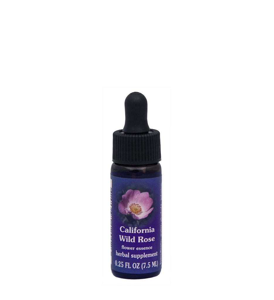 FES Flower Essences: California Wild Rose