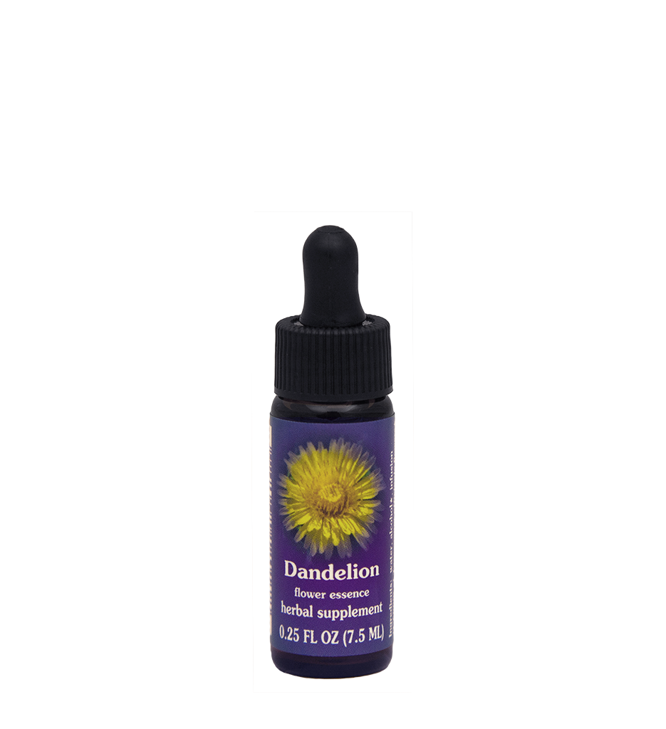 FES Flower Essences: Dandelion