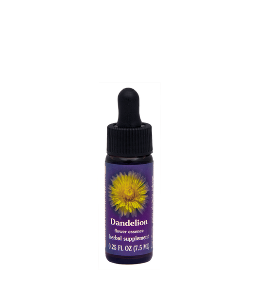 FES Flower Essences: Dandelion